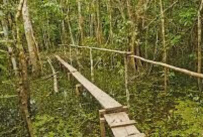 Une psychologue qui se laisse enseigner par un usager