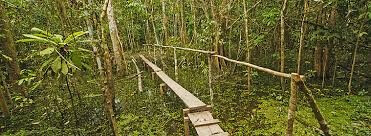 You are currently viewing Une psychologue qui se laisse enseigner par un usager