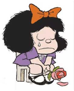 Lire la suite à propos de l’article Argentine décembre 2023